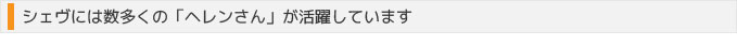 ハウスキーピング(家事代行)サービス - シェヴには数多くの「ヘレンさん」が活躍しています