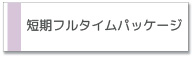 ベビーシッティング(ベビーシッター)短期フルタイムパッケージ
